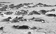 Flight To Anchorage 4932bw